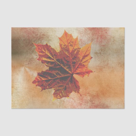 Herfstblad Pumpkim Wrap Decoupage Tissuepapier (Voorkant)