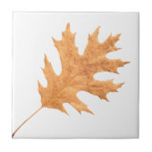 Herfstblad Tegeltje (Voorkant)
