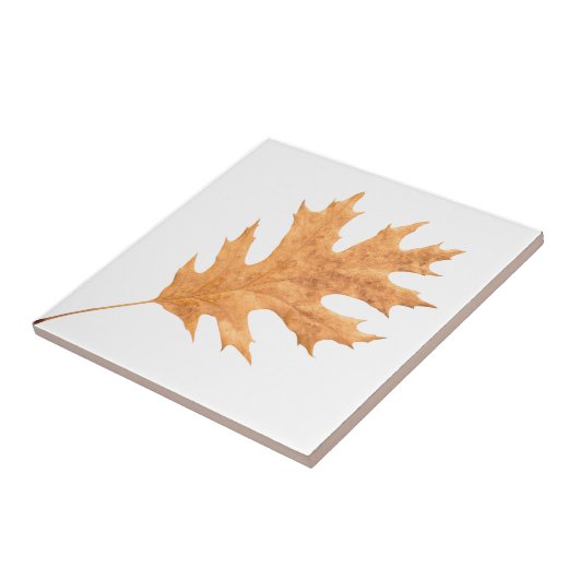 Herfstblad Tegeltje (Zijkant)