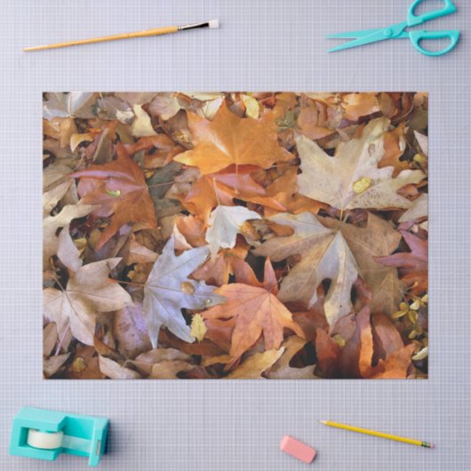 Herfstblad Tissuepapier (Craft)