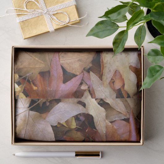 Herfstblad Tissuepapier (Geschenk)