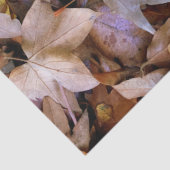 Herfstblad Tissuepapier (Detail)