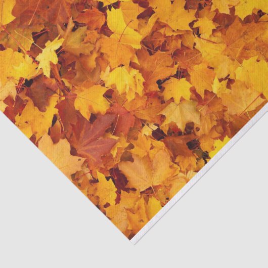 herfstblad tissuepapier (Detail)