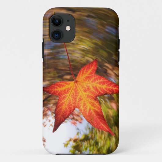 Herfstblad van een boom in de herfst Case-Mate iPhone case (Achterkant)