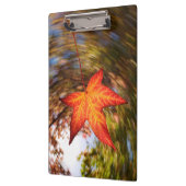 Herfstblad van een boom in de herfst klembord (Links)