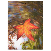 Herfstblad van een boom in de herfst klembord (Achterkant)