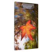 Herfstblad van een boom in de herfst klembord (Rechts)