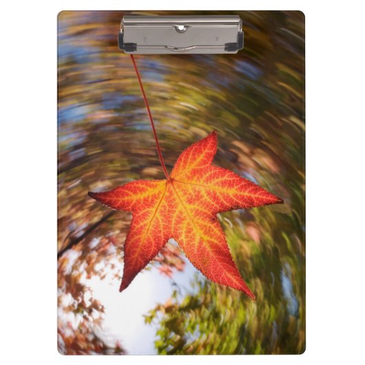 Herfstblad van een boom in de herfst klembord (Voorkant)