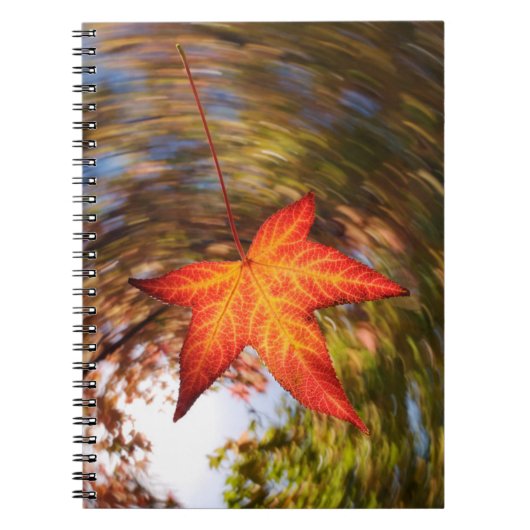 Herfstblad van een boom in de herfst notitieboek (Voorkant)