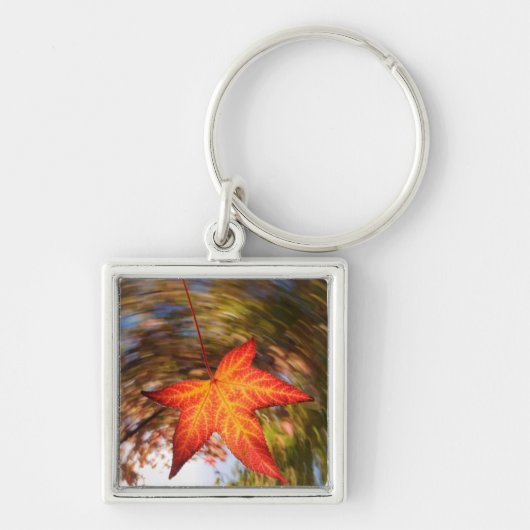 Herfstblad van een boom in de herfst sleutelhanger (Voorkant)