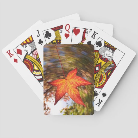 Herfstblad van een boom in de herfst speelkaarten (Achterkant)