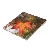Herfstblad van een boom in de herfst tegeltje (Zijkant)