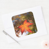 Herfstblad van een boom in de herfst vierkante sticker (Envelop)