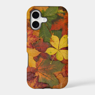 Herfstbladeren