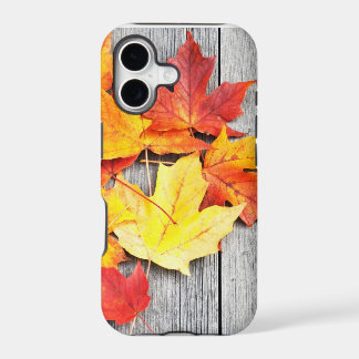 Herfstbladeren