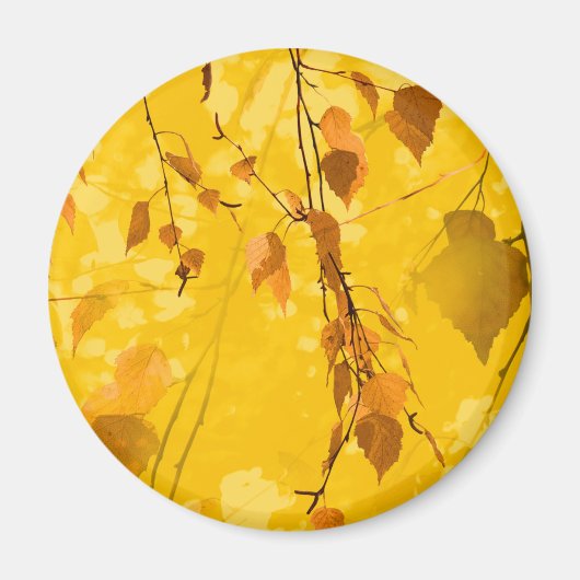 Herfstbladeren 3 magneet (Voorkant)