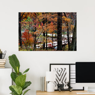 Herfstbladeren aan bomen in Arkansas Waarde Poster