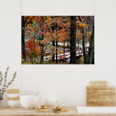 Herfstbladeren aan bomen in Arkansas Waarde Poster (Keuken)
