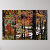 Herfstbladeren aan bomen in Arkansas Waarde Poster (Voorkant)
