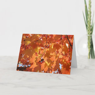 Herfstbladeren aangepaste wenskaarten Herfstbomen Kaart