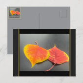 Herfstbladeren Ansichtkaart Briefkaart (Voorkant / Achterkant)