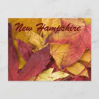 Herfstbladeren ansichtkaart uit New Hampshire Briefkaart