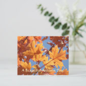 Herfstbladeren ansichtkaarten Mooie herfstdag Briefkaart (Staand voorkant)