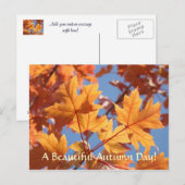 Herfstbladeren ansichtkaarten Mooie herfstdag Briefkaart (Voorkant / Achterkant)