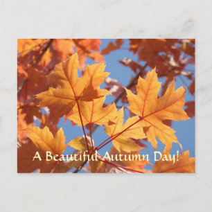Herfstbladeren ansichtkaarten Mooie herfstdag Briefkaart