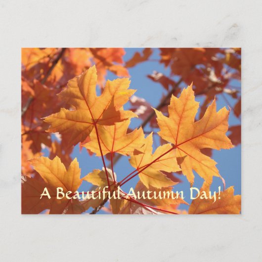 Herfstbladeren ansichtkaarten Mooie herfstdag Briefkaart (Voorkant)