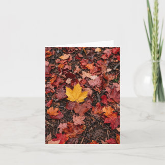 Herfstbladeren bedankkaart