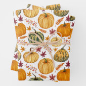Herfstbladeren, bessen en pompoenen inpakpapier vel (In situ)