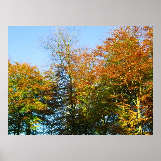 Herfstbladeren & Blauwe Lucht - Gepersonaliseerd Poster (Voorkant)