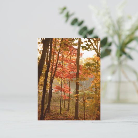Herfstbladeren Bomen Feestdagenkaart (Staand voorkant)
