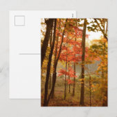 Herfstbladeren Bomen Feestdagenkaart (Voorkant / Achterkant)