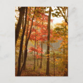 Herfstbladeren Bomen Feestdagenkaart (Voorkant)