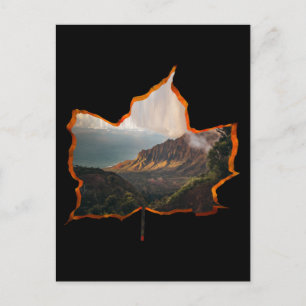 HERFSTBLADEREN BOS BERG BRIEFKAART