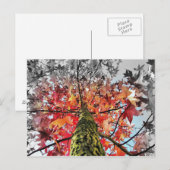 herfstbladeren briefkaart (Voorkant / Achterkant)