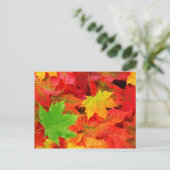 Herfstbladeren Briefkaart (Staand voorkant)