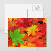 Herfstbladeren Briefkaart (Voorkant / Achterkant)