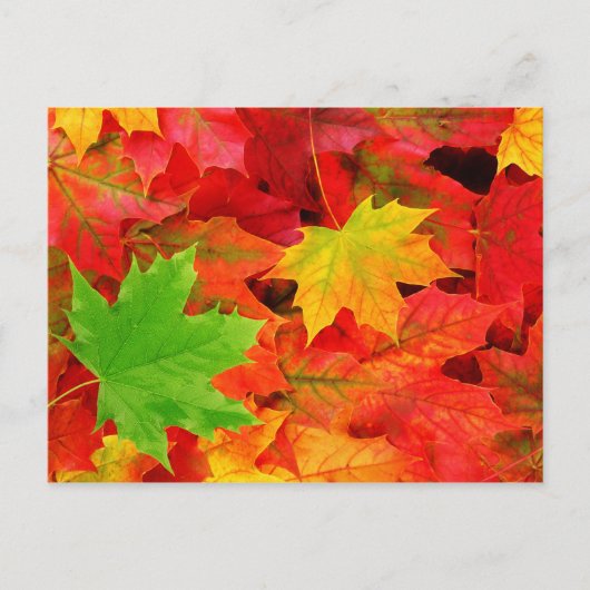 Herfstbladeren Briefkaart (Voorkant)