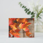 Herfstbladeren Briefkaart (Staand voorkant)