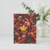Herfstbladeren  briefkaart (Staand voorkant)