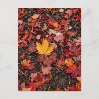 Herfstbladeren briefkaart