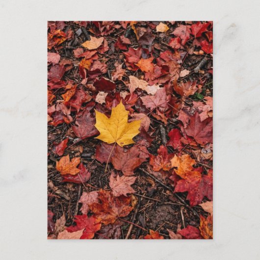 Herfstbladeren  briefkaart (Voorkant)