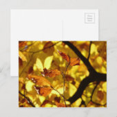 Herfstbladeren briefkaart gele mosterd (Voorkant / Achterkant)