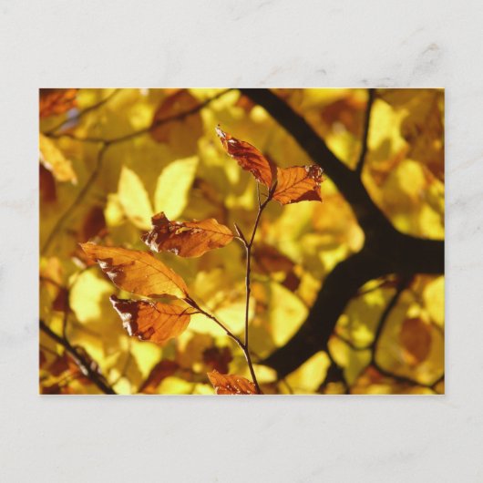 Herfstbladeren briefkaart gele mosterd (Voorkant)
