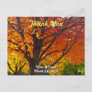 herfstbladeren bruiloft dank u Briefkaart