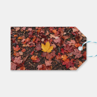 Herfstbladeren cadeaulabel