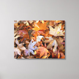 Herfstbladeren Canvas Wandkunst Afdruk